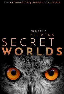 Image de Secret Worlds