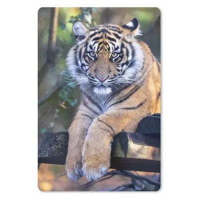 Produktbild von MuchoWow® Mauspad Mousepad Tiger - Bäume - Natur 18x27 cm - Mousepads - Maus Mat - Pad - Mausunterlage
