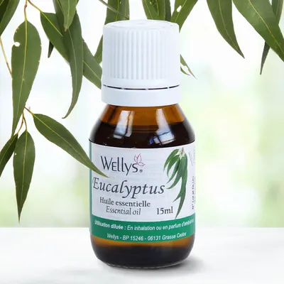 Produktbild von Eukalyptus-Öl, 15 ml