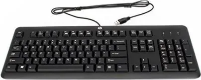 Produktbild von HP 672647-111, Volle Größe (100%), Kabelgebunden, USB, Mechanischer Switch, Schwarz