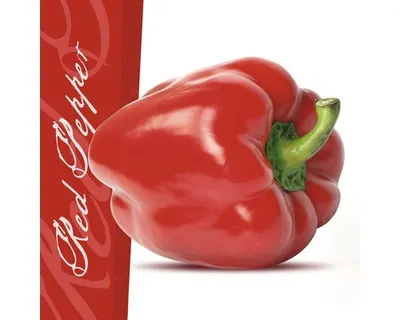 Produktbild von Modernes Glasbild aus der Serie 'Red Pepper', Farbe Rot, 20x20 cm