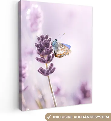 Produktbild von MuchoWow® - Leinwandbilder - Lavendel - Schmetterling - Nahaufnahme - Lila, Wandbild, Wanddeko Bilder Wohnzimmer, 90x120 cm