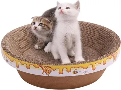 Produktbild von Famanu Kratzbrett Karton - Komfortables Design für Katzen
