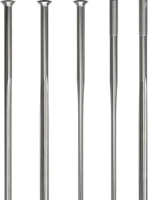 Image de Rayons DT Swiss Revolite Straightpull 2.0/2.3/1.3 272 mm Argent - légers et...
