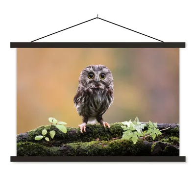 Produktbild von MuchoWow® Textilposter Steinkauz 60x40 cm mit schwarzem Rahmen - Hölzernes