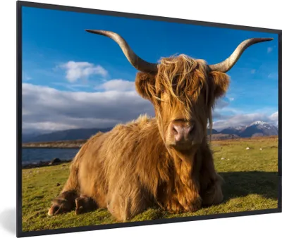 Produktbild von MuchoWow® MuchoWow® Gerahmtes Poster Schottische Hochlandrind - Tiere - Gras 60x40 cm - Poster mit zchwarzem Bilderrahmen - Printing - Wanddeko Schlafzimmer