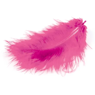 Produktbild von Marabufedern pink 10/12 cm 17 Stück