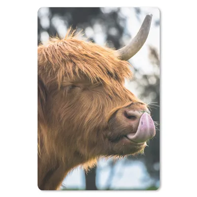 Produktbild von MuchoWow® Mauspad Mousepad Schottischer Highlander - Nase - Baum 18x27 cm - Mousepads - Maus Mat - Pad - Mausunterlage