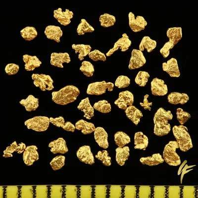 Produktbild von 50 Echte Goldnuggets aus Alaska mit Echtheitszertifikat 20-23 Karat Feingehalt