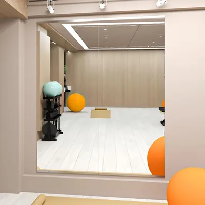 Produktbild von Haus-Spiegel für Fitness 145 x 60 cm – 2 Stück – Große Yogaspiegel – Wandspiegel für Tanzraum – Verzinktes Glas – Fitness-Spiegel