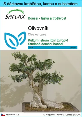Obrázek produktu pro SAFLAX Dárková sada - olivovník - Olea europea - 20 Semena - S dárkovou krabičkou, přepravním štítkem, dárkovou kartou a pěstebním médiem