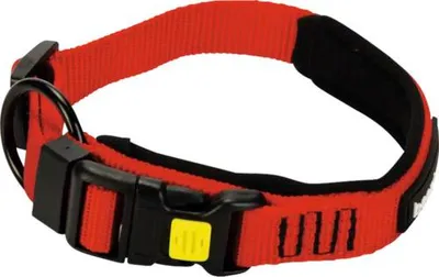 Produktbild von Beeztees Parinca Premium - Hundehalsband - Nylon - rot - 30-35 cm x 20