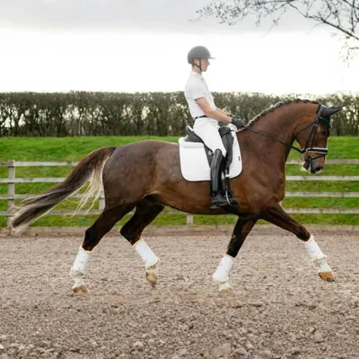 Image de Tapis de dressage LeMieux Suede, couleur : blanc, taille : L