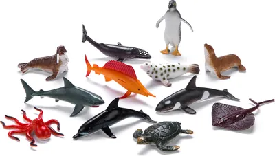 A collection of plastic toy sea animals arranged on a white background.