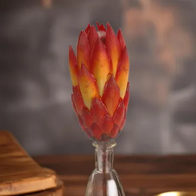 Immagine prodotto di Cespugli di zucchero Protea set di 5 fiori secchi arancio rosso sbiancato 20 - 40 cm