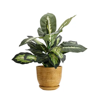 Image de Pot de fleurs en céramique rond avec soucoupe marron clair 13 cm avec trou de drainage