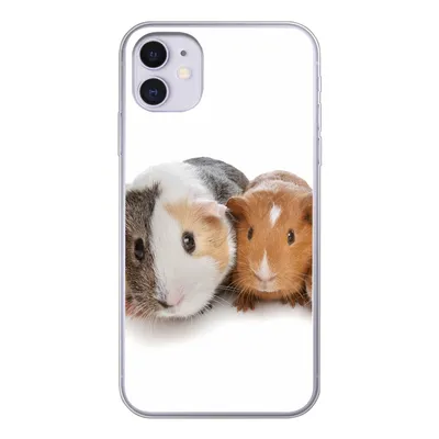 Produktbild von MuchoWow® Handyhülle Schutzhülle Hülle für iPhone 11 Fünf Meerschweinchen Silikon Softcase Handy Hülle - Handytasche