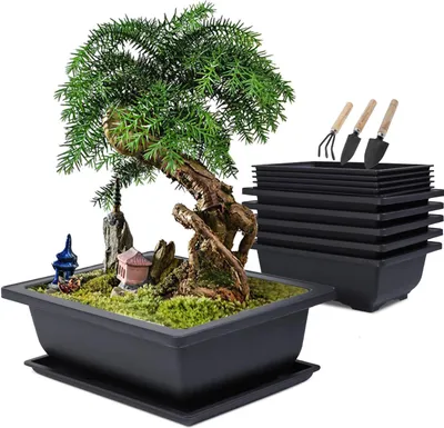 A bonsai tree in a planter with miniature garden accessories, next to a stack of identical planters and gardening tools.