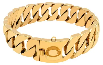 Produktbild von Robuste Hundehalsband aus Edelstahl für große Hunde