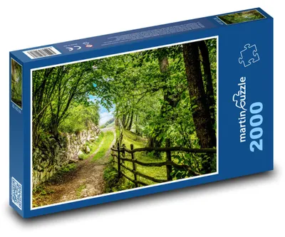 Obrázek produktu pro martinpuzzle - Puzzle 2000 - Romantická lesní cesta