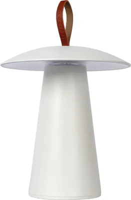 Produktbild von Lucide 27500/02/31