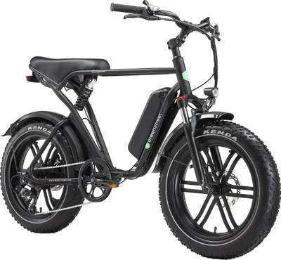 Produktbild von E-Bike Fat Tire California 250 W 20 Zoll