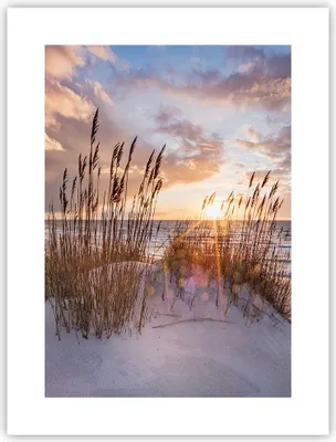 Produktbild von Poster - Poster ohne Rahmen - Westen auf der Strand - 30x40 cm - Wand Bild - Wanddeko - Wandbilder - Kunstposter - Wandposter - Bilder - Kunstdruck - Wanddekoration - Wandbild - P2XPA30x40-4710