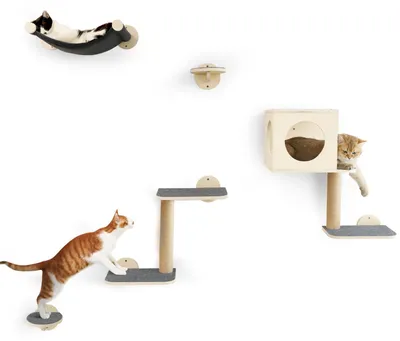 Produktbild von Katzenwandmöbel Katzenwand Kletterwand Set - 5-teilig - Hängematte und Kratzbaum - Grau