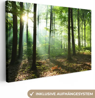 Produktbild von OneMillionCanvasses® - Leinwandbilder - 150x100 cm, Wald - Sonne - Laub, Wandbilder Kunstdruck Wanddekoration