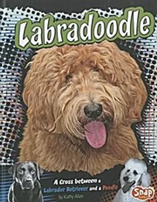 Obrázek produktu pro Labradoodle