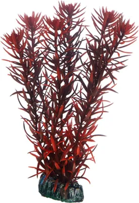 Produktbild von Hobby Eusteralis - 20 cm - künstliche Aquariumpflanze