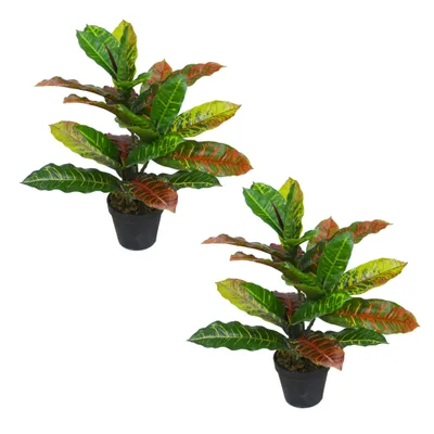 Produktbild von Lacers SMARAGDLINE künstliche Codiaeum Pflanze – Wunderstrauch-45cm im 2er Set - Dekoration - lebendige Farben für Wohnzimmer, Balkon und Büroräume