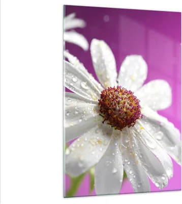 Produktbild von Bilder auf glas - Einteilig - Blume frühling garten - 80x120cm - Glasbilder - Wandbilder - Bilder - zum Aufhängen bereit - Wanddekoration aus Glas - Glas Bilder - Wandbild auf Glas - GPA80x120-2469