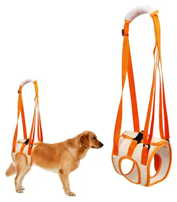 Produktbild von Hundegeschirr für große Hunde mit Schwammgriff, tragbare Hundeschlaufe für die Hinterbeine, Hundestützschlaufe für verletzte oder behinderte kleine, mittlere und große Hunde (L)
