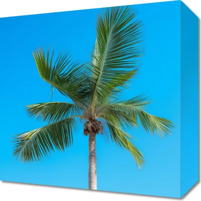 Produktbild von Bild 30x30cm Himmelsplateaus