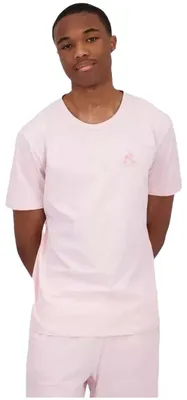 Image de T-shirt Le Coq Sportif 2423262 pour Uni