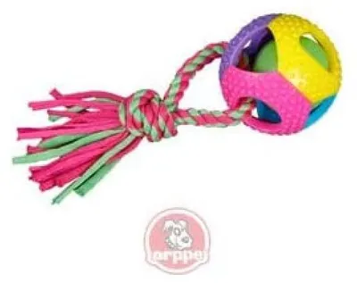 Immagine prodotto di Arppe 3048304002 Gomma arcobaleno