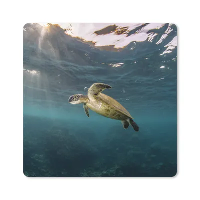 Produktbild von MuchoWow® Mauspad Mousepad Schildkröte im klaren Wasser 30x30 cm - Mousepads - Maus Mat - Pad - Mausunterlage - Gaming