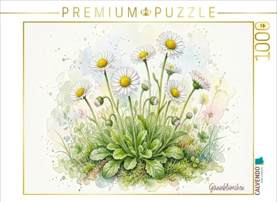 Produktbild von CALVENDO Puzzle Gänseblümchen | 1000 Teile Lege-Größe 64x48cm Foto-Puzzle für glückliche Stunden