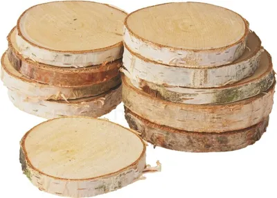 Produktbild von Birkenholz Baumscheiben 10er Ø 10-12 cm