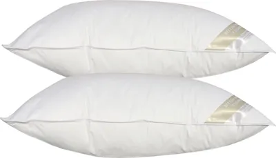 Produktbild von 2 Stück Betten Hofmann Basic Allergiker Kopfkissen Faserkissen 50x75 cm 600 g