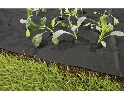 Obrázek produktu pro Netkaná textilie mulčovací FloraSelf 5 x 1,5 m 50g/m² černá