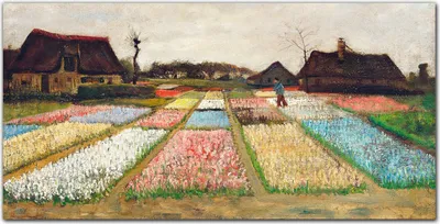 Produktbild von Coloray - Bild aus Glas - Glasbilder - 100 x 50 cm - Glasblock mit Bild Gehärtetes Glas Wohnzimmer Küche Dekoration Wanddekoration - Van Gogh Birnenfelder