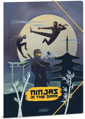 Obrázek produktu pro Ars Una Složka na sešity A4 Ninjas in the Dark