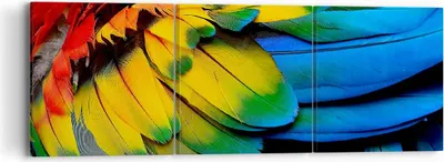 Produktbild von Bild auf Leinwand - Leinwandbild - Feder Papagei Vogel - 90x30cm - Wand Bild - Wanddeko - Wandbilder - Leinwanddruck - Bilder - Kunstdruck - Wanddekoration - Leinwand bilder - Wandkunst - CA90x30-3428