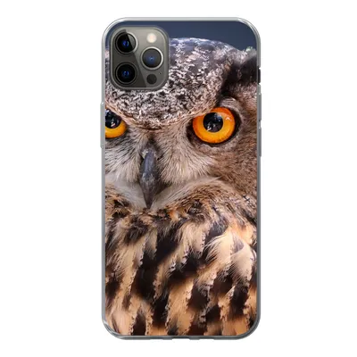 Produktbild von MuchoWow® Handyhülle Schutzhülle Hülle für iPhone 12 Pro Max Eine Nahaufnahme einer braunen Eule Silikon Softcase Handy Hülle - Hartschale