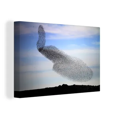 Obrázok produktu pre OneMillionCanvasses® - Maľba na plátne - Obraz na plátne Nástenná maľba na plátne - Veľký kŕdeľ špačkov - 150x100cm - Fotografia na plátne - maľba na