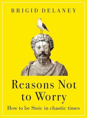 Produktbild von Reasons Not to Worry