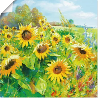 Produktbild von ARTland Poster Sommerwiese mit Sonnenblumen Größe: 50x50 cm