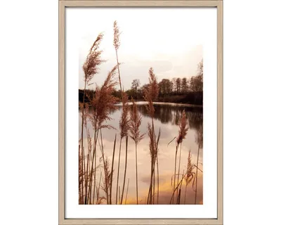 Produktbild von Gerahmtes Bild Evening At The Lake I 53x73 cm